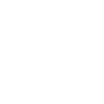 Icone Instagram