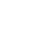 Icone Spotify