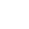 Icone TikTok